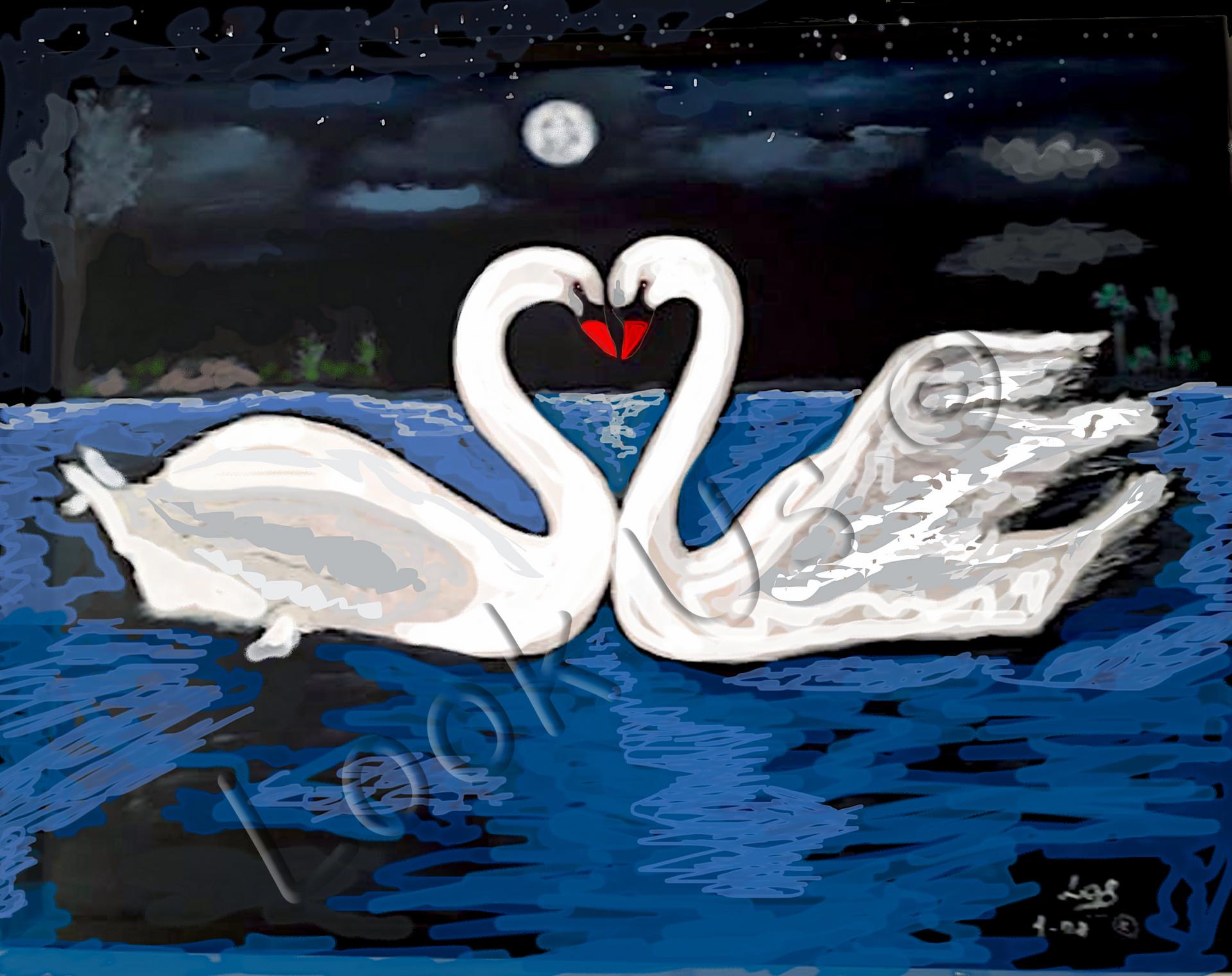Bain de minuit ©