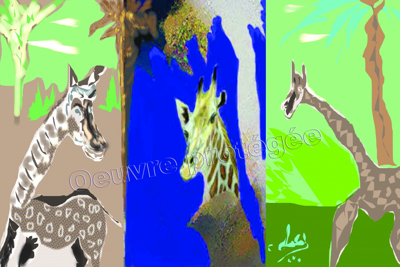 Les trois girafes